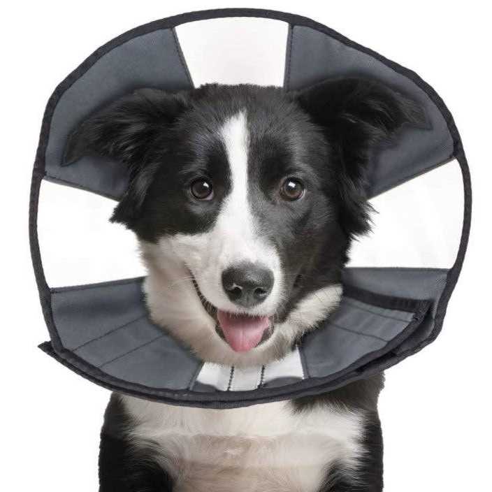Soft Recovery Collar I9336