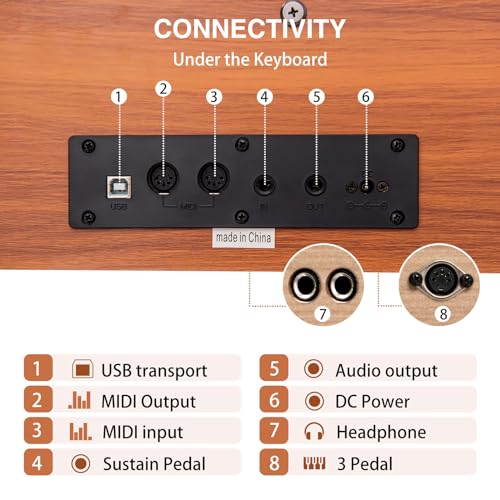 Weighted Digital Piano with Hammer-Action Keyboard V1585
