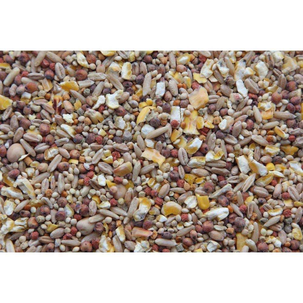 Dove Food C45096