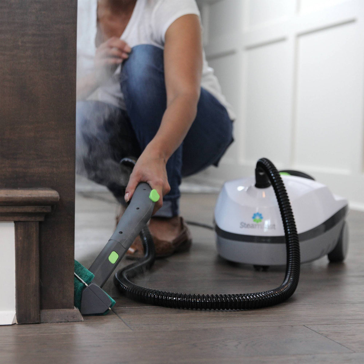 Canister Steam Cleaner C66915