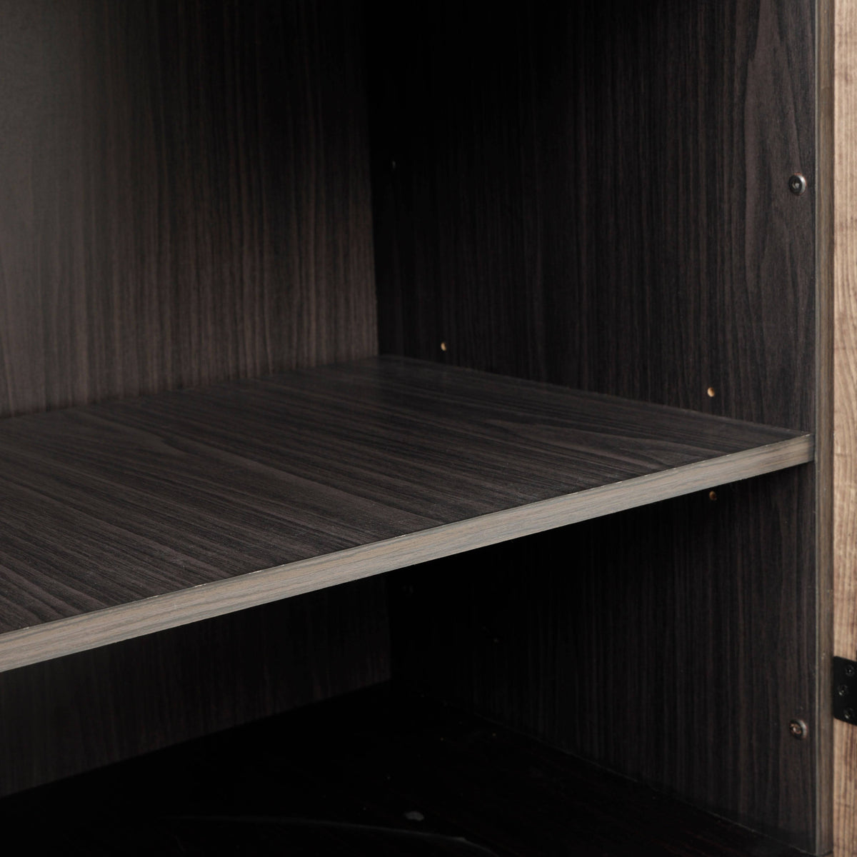 Two Door Cabinet with Rustic Barn Style Doors N592
