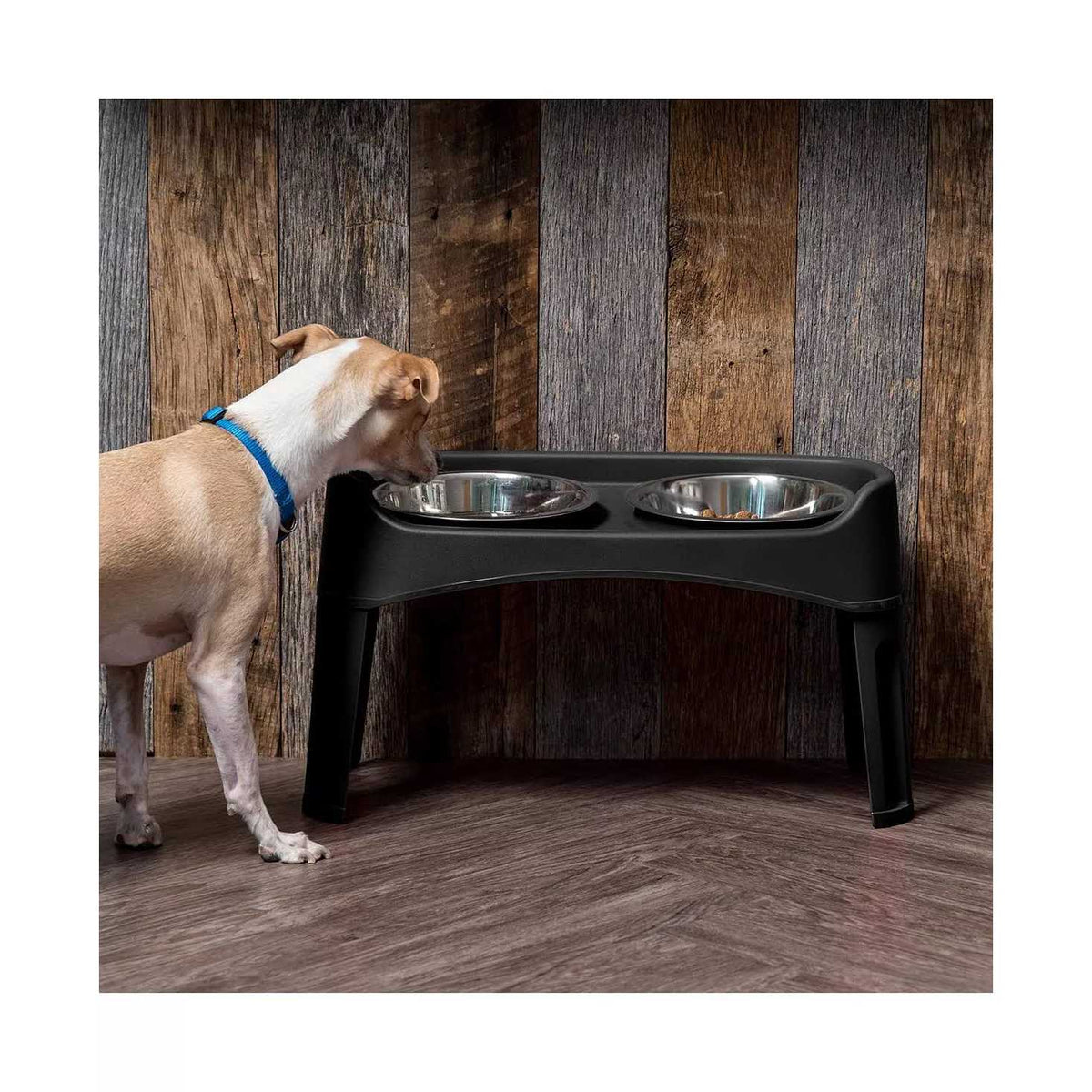 12 inch Elevated Dog Bowls with 2 Qt Stainless Steel Bowls U6791