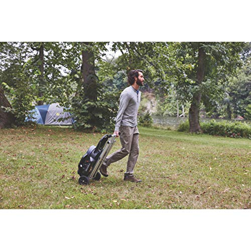 Portable Stand-Up Propane Grill with Push-Button Starter N308568