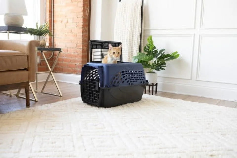 Blue 24 2-Door Plastic Pet Carrier A222