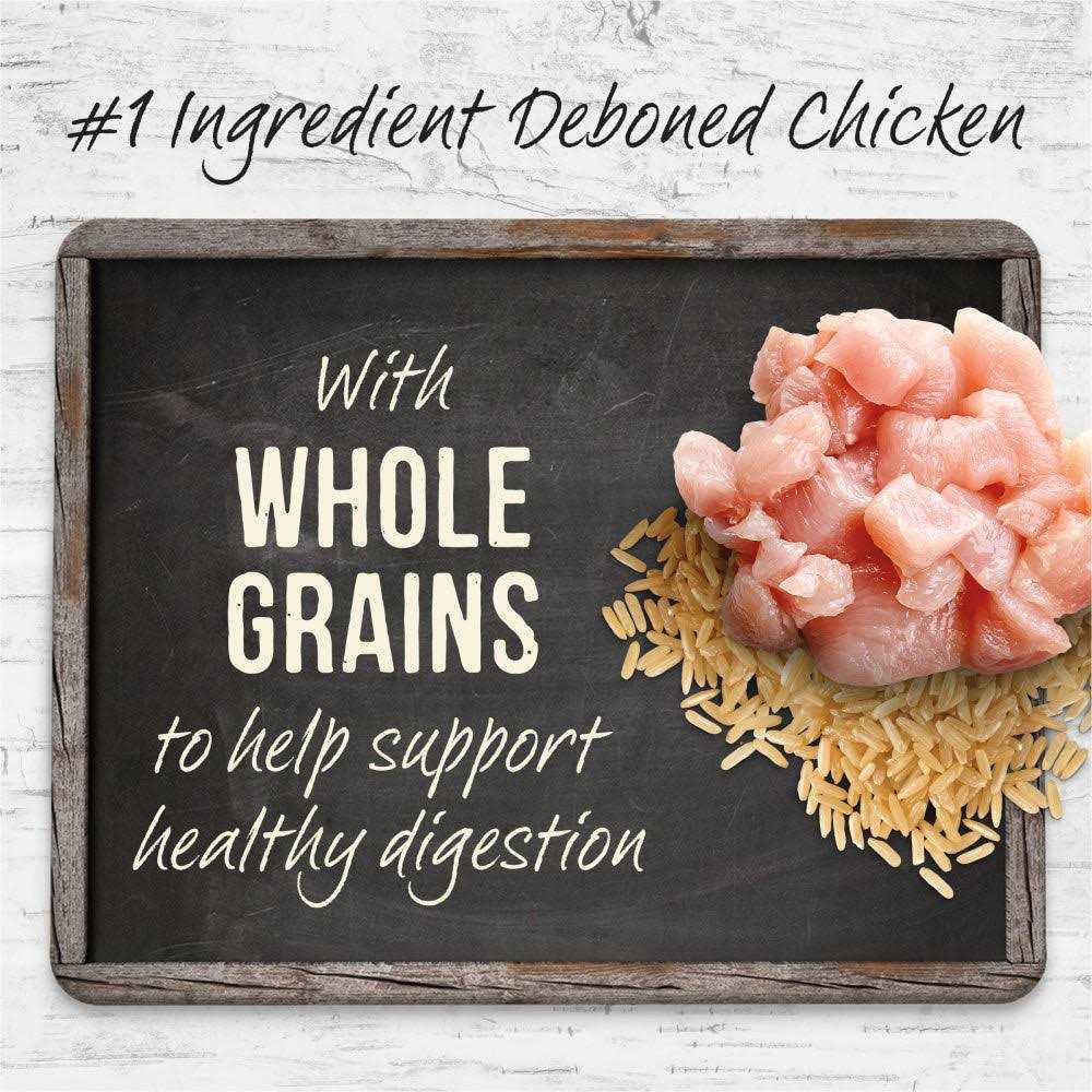 Puppy Recipe with Healthy Grains Dry Dog Food F884