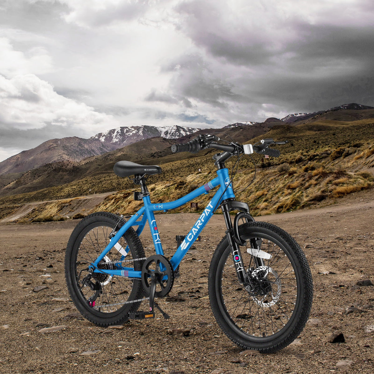20 Inch Kids Mountain Bike E618