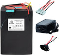 72V 20AH Lithium LiFePO4 Ebike Battery with 5A Charger F3210