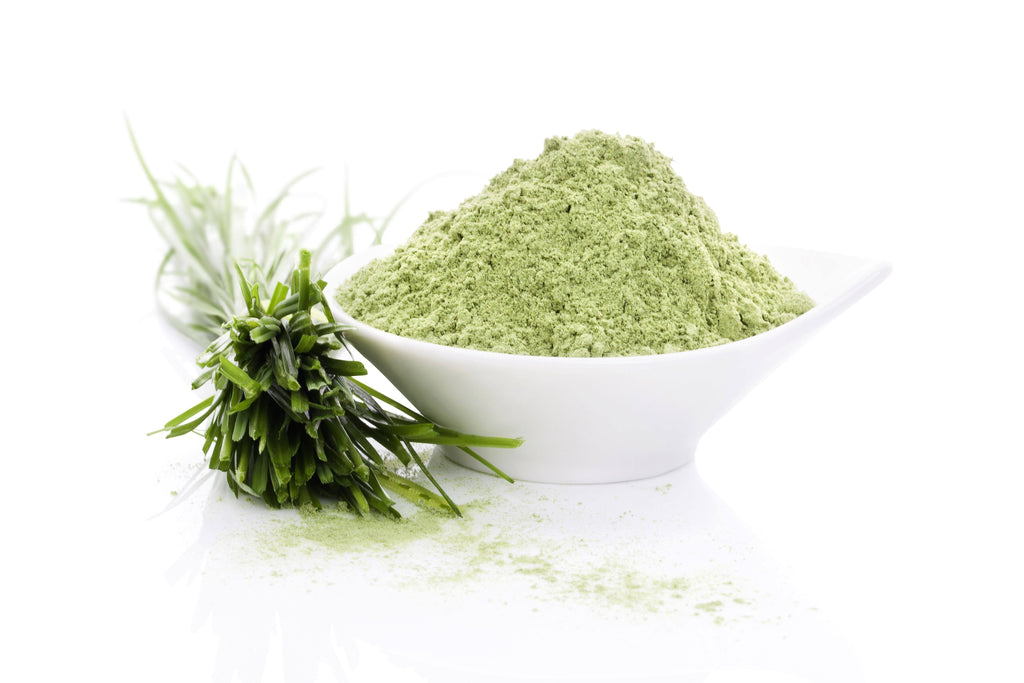 Organic Barley Grass Powder 55 lbs F4113