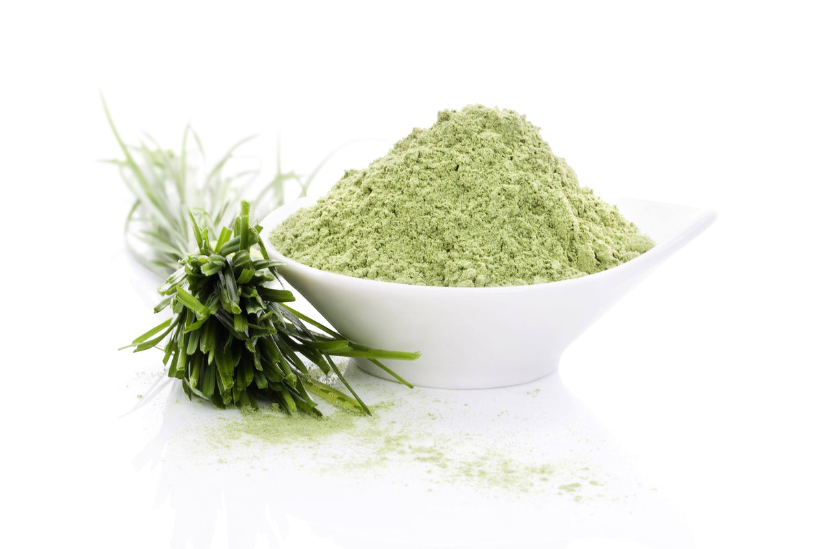 Organic Barley Grass Powder 55 lbs F4113