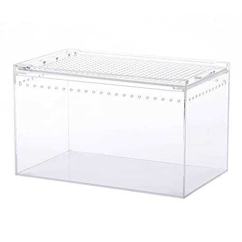 10x6x6 Inch Acrylic Reptile Terrarium P133