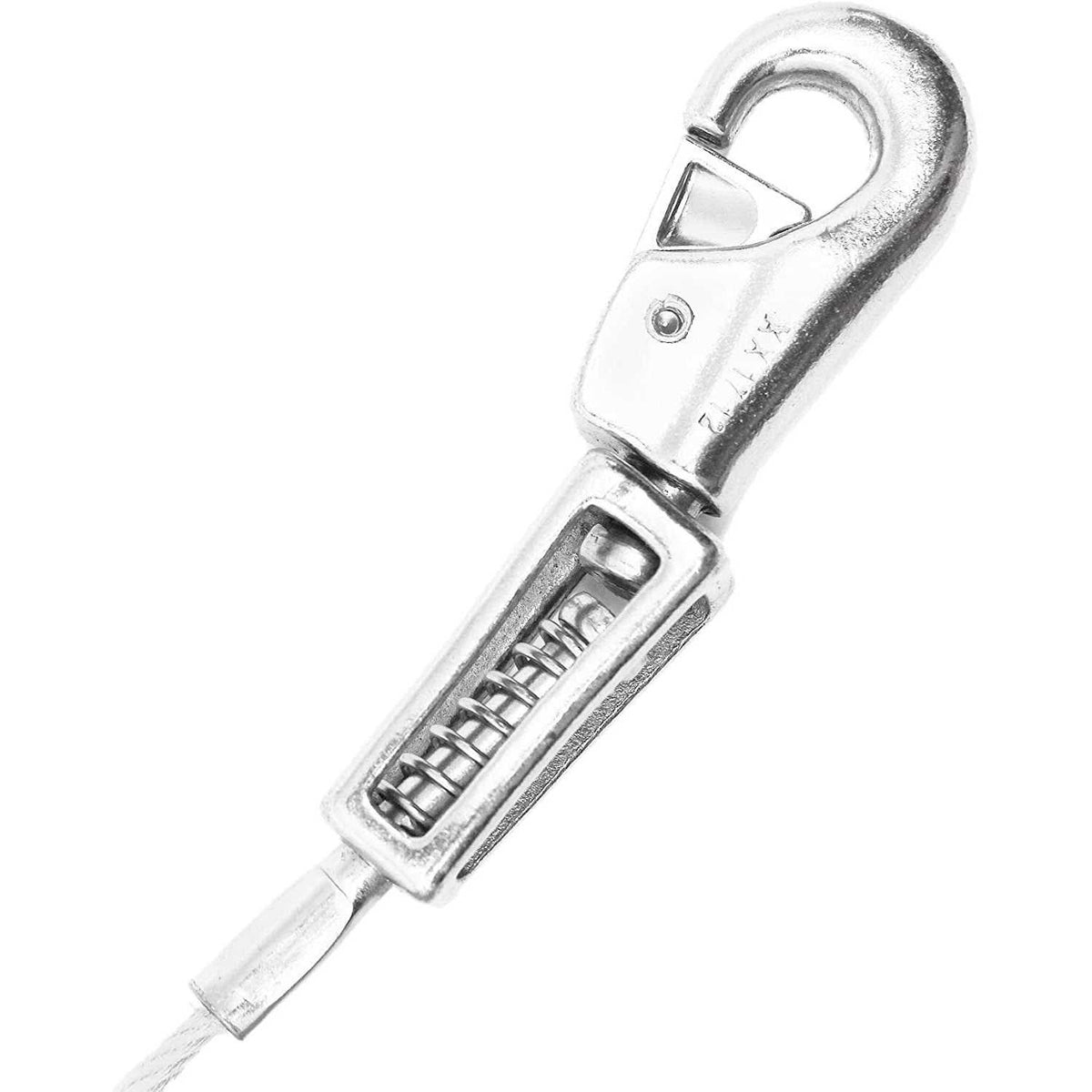 15ft XL Dog Tie-Out with Spring C782423