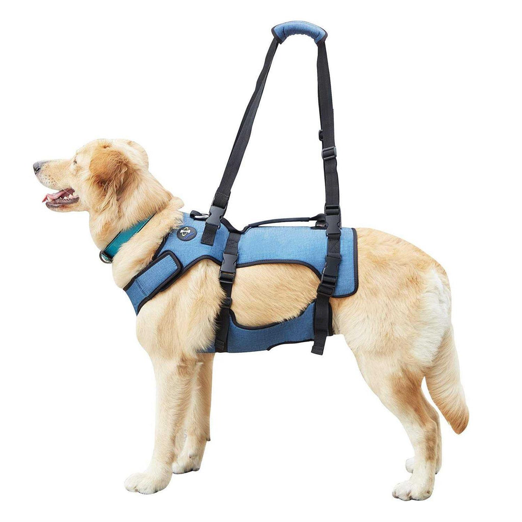 Adjustable Breathable Dog Lift Harness Y23766