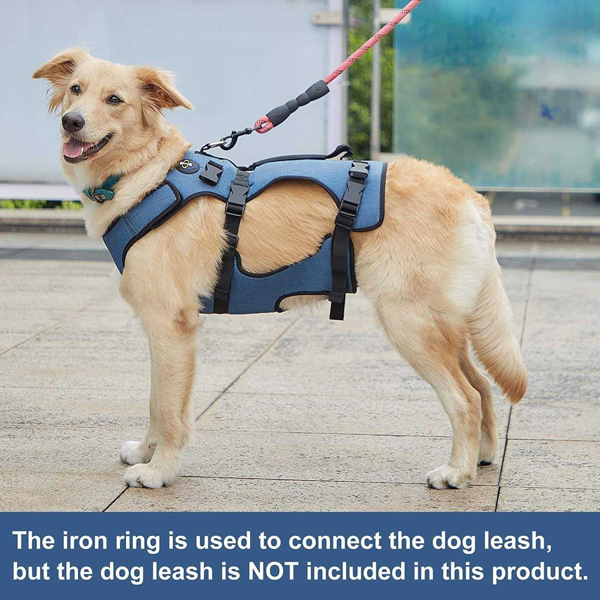 Adjustable Breathable Dog Lift Harness Y23766