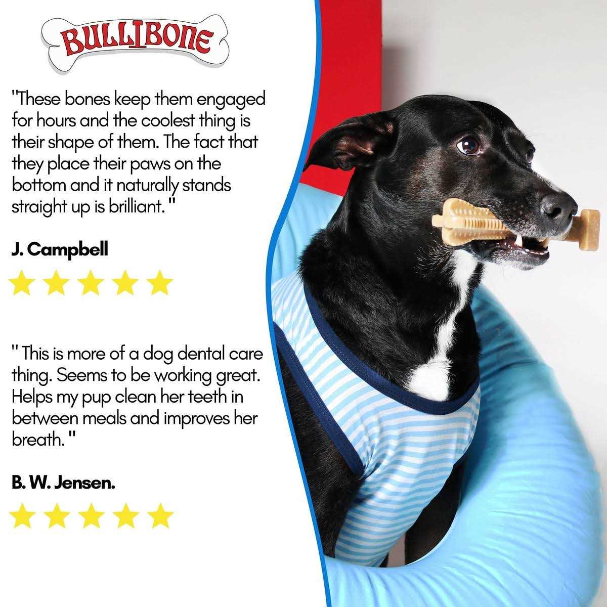 Nylon Dog Chew Toy L887610