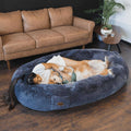 Giant Dog Beds for Humans Q44166