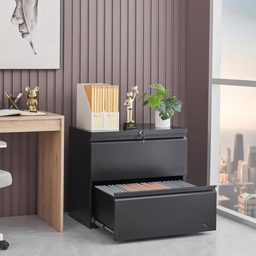 Black Metal Storage Cabinet with Adjustable Shelves O8030