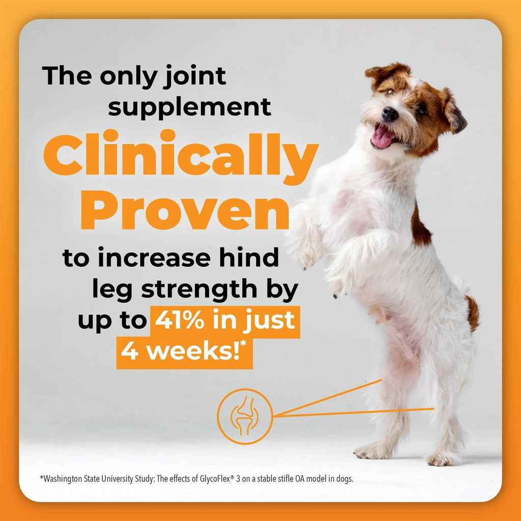 Joint Supplement for Dogs L921564