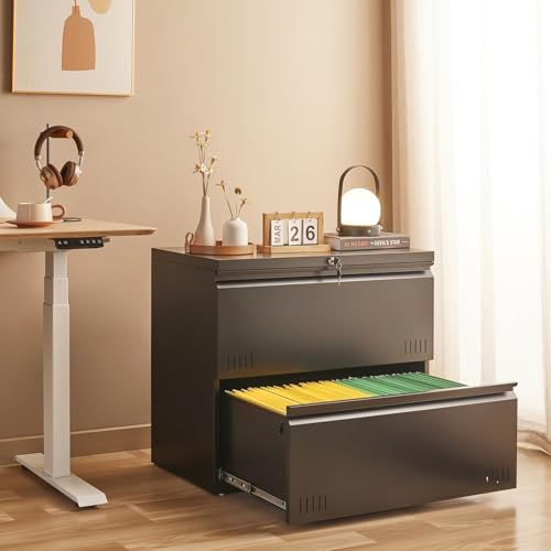 Black Metal Storage Cabinet with Adjustable Shelves O8030