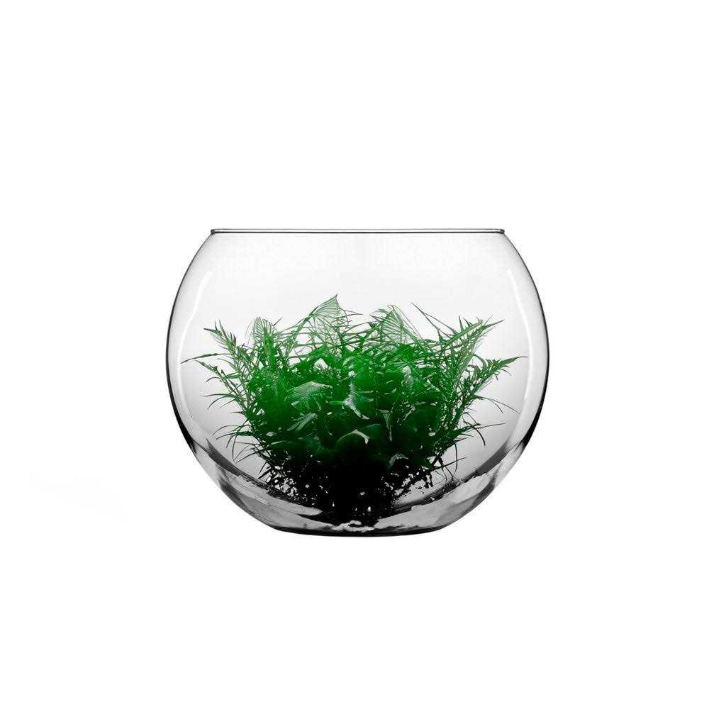 Glass Bubble Ball Bowl W440