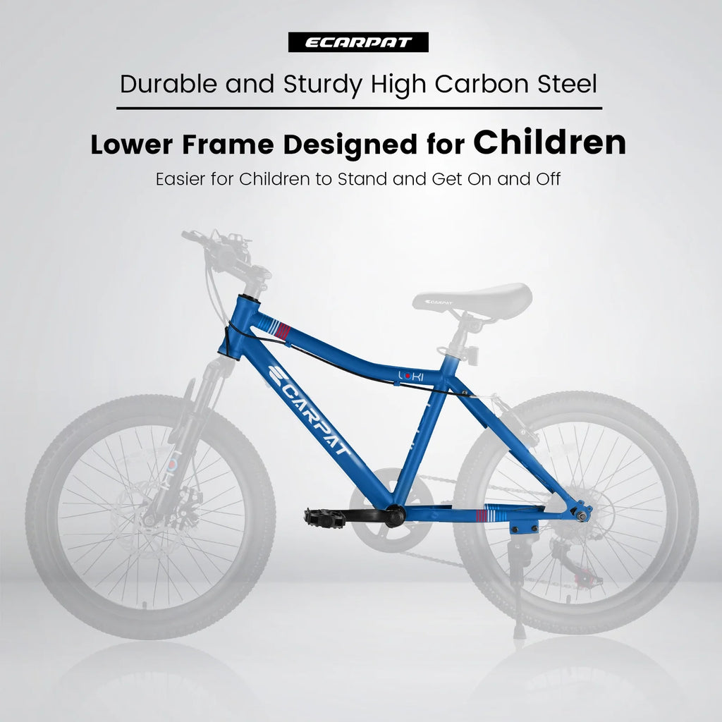 20 Inch Kids Mountain Bike E618