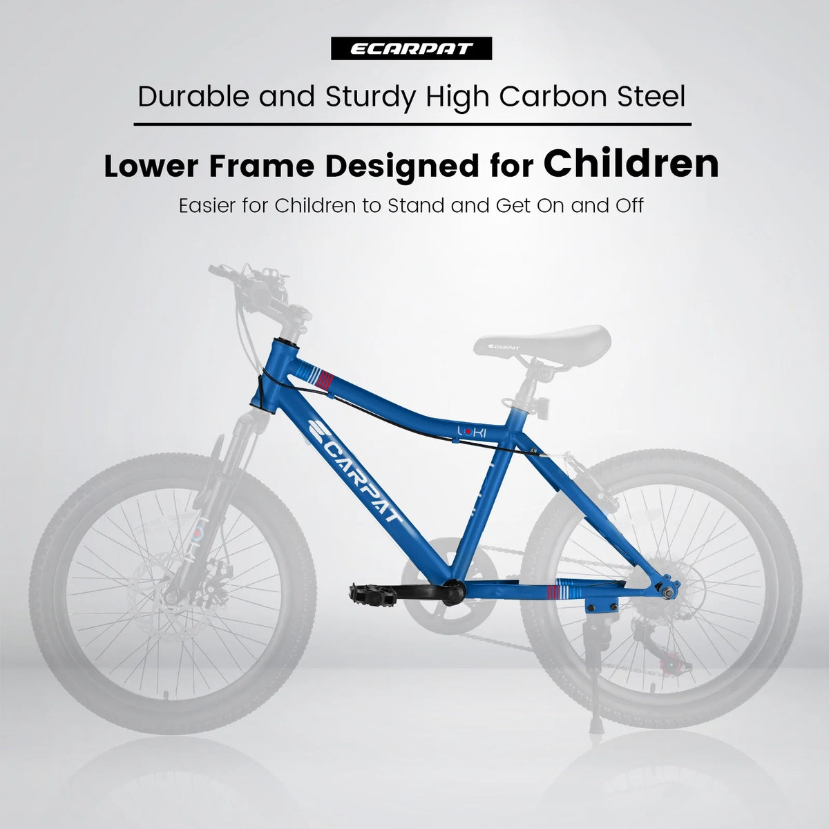 20 Inch Kids Mountain Bike E618