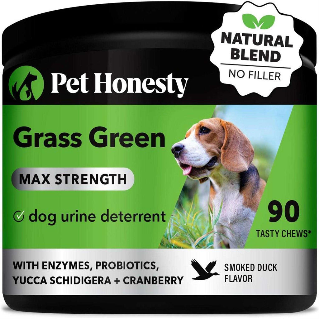 Duck Flavored Soft Chews Dog Supplement U16286