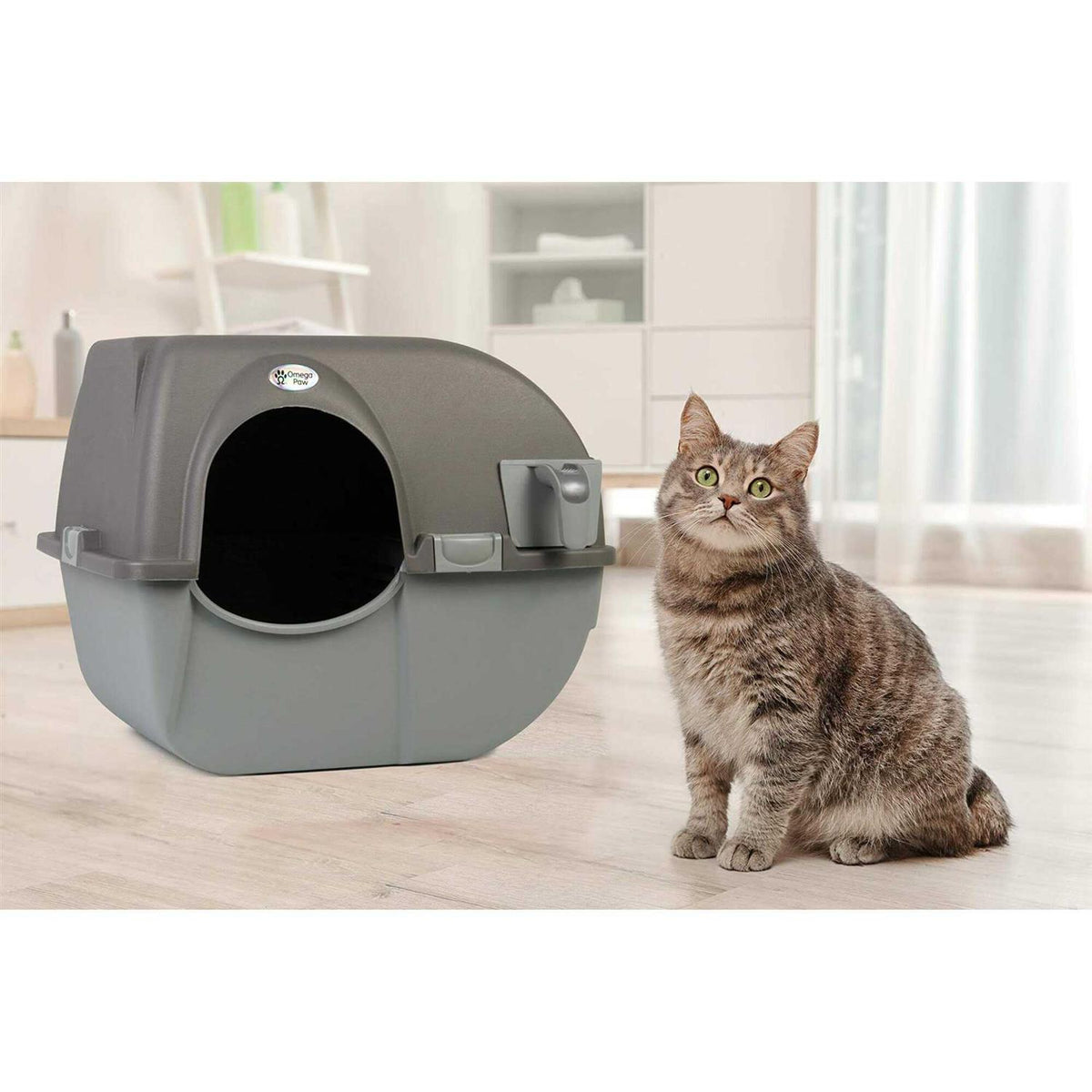 Self Cleaning Litter Box K4843