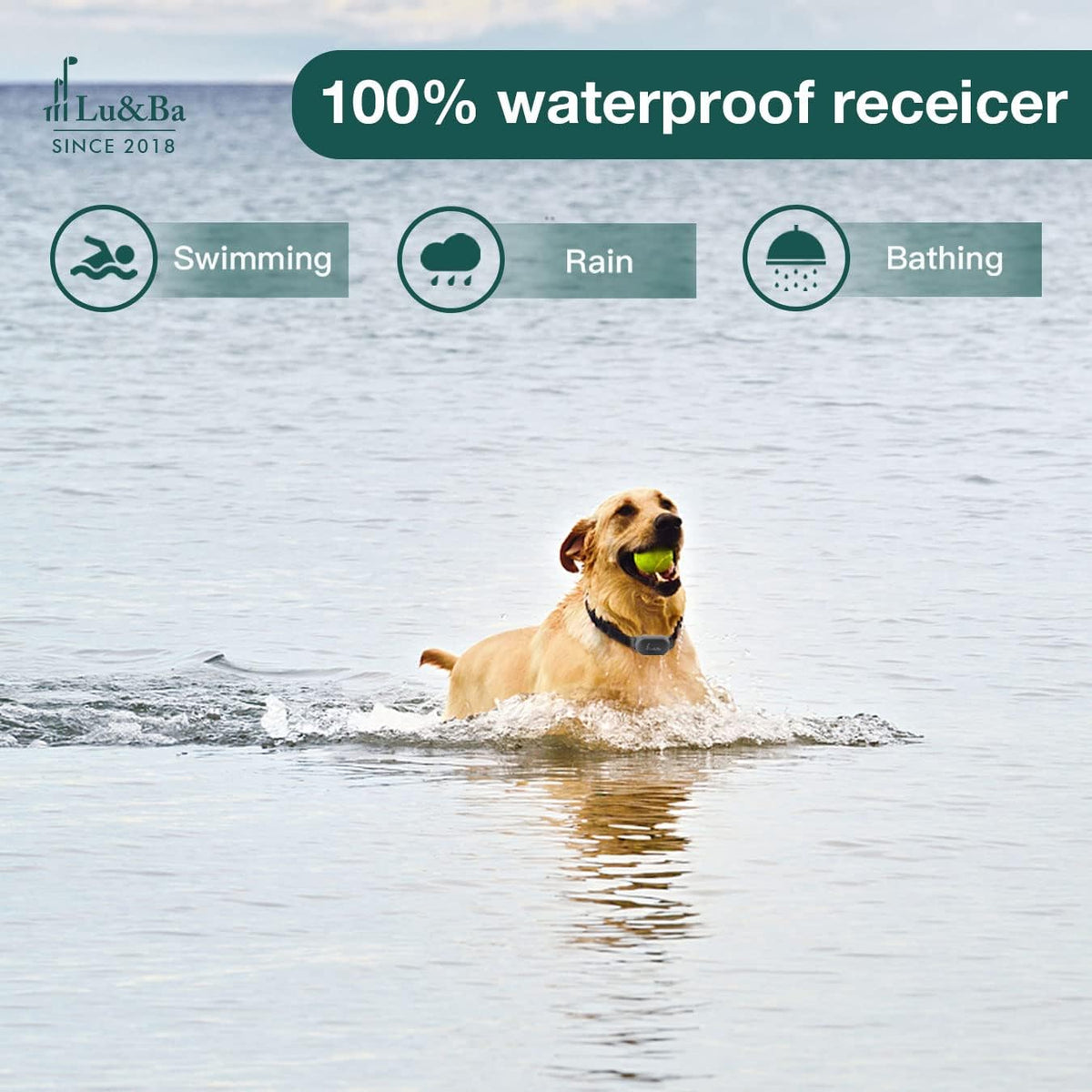 Rechargeable Waterproof Dog Training Collar Pack of 2 S254090