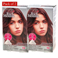 Foam Hair Color Rich Mousse Medium Ash Brown Pack of 2 M6954