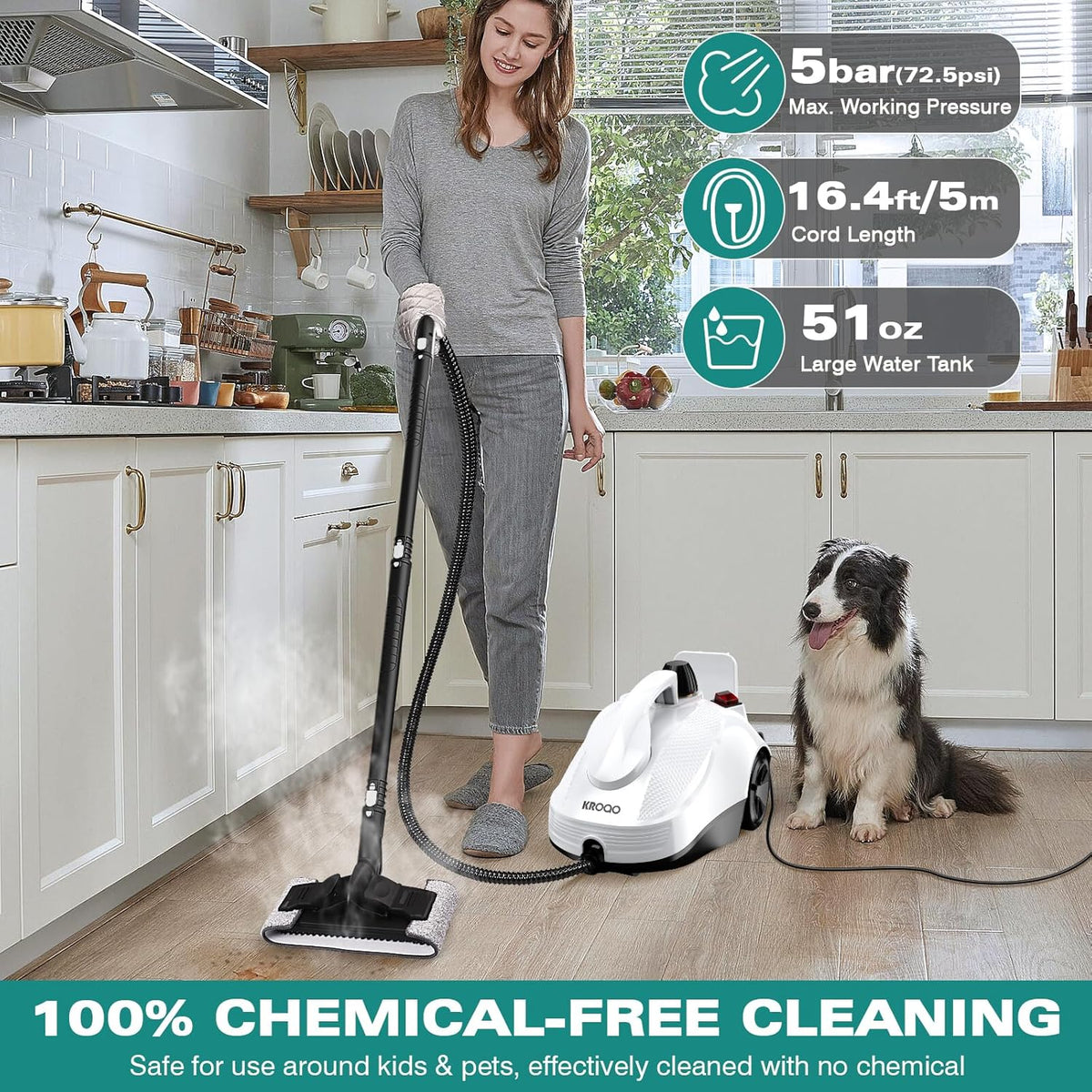 Steam Cleaner with 23 Accessories, 16.4ft Power Cord N9648