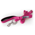 Dog Leash S159