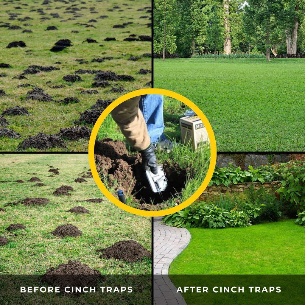 Medium Size Gopher Trap (3 Pack) F379