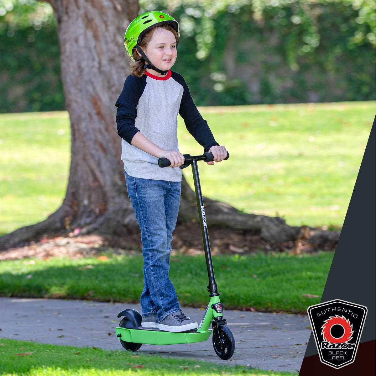 Black Label E90 Electric Scooter D8187