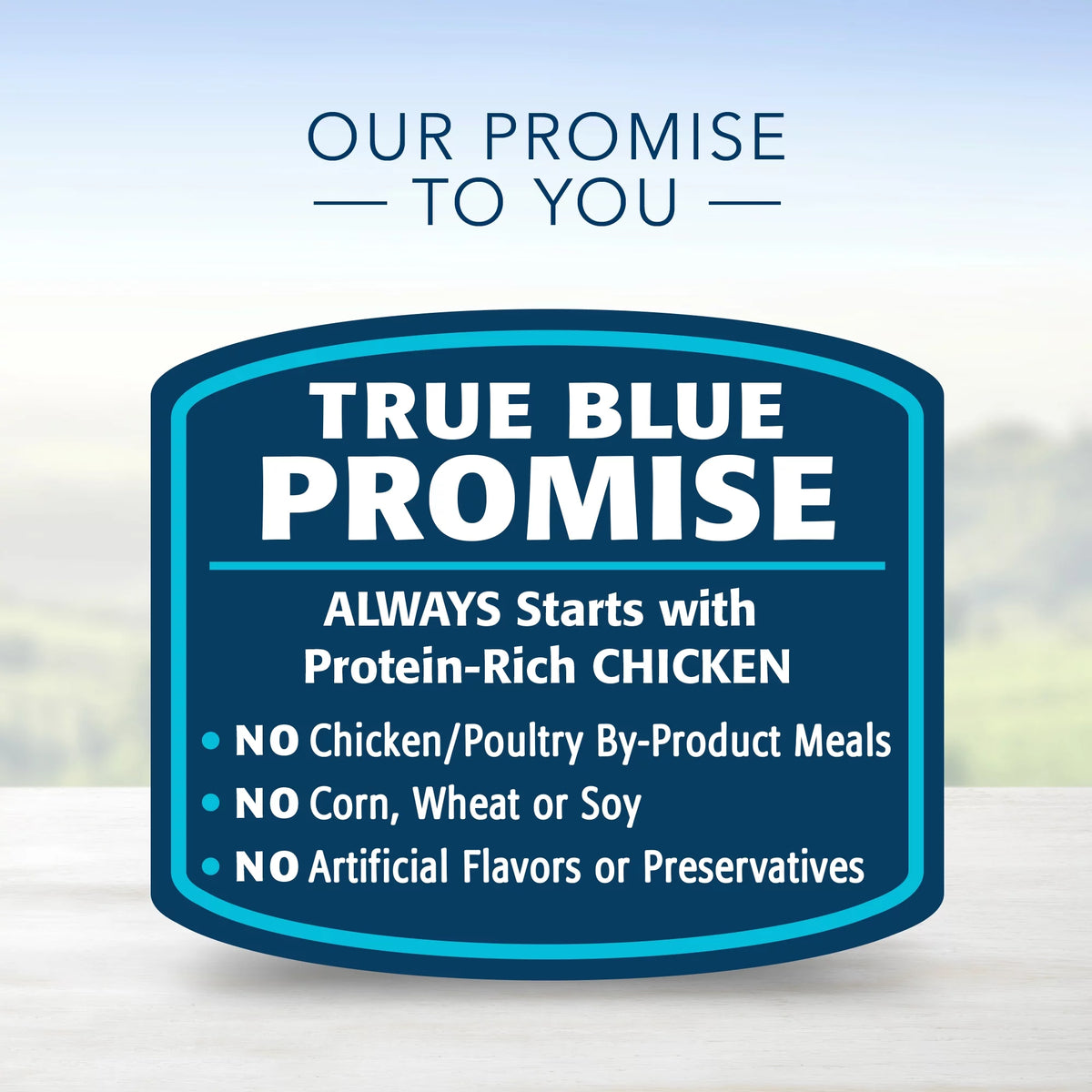 Chicken 12.5-oz can Wet Dog Food (Pack of 12) M293