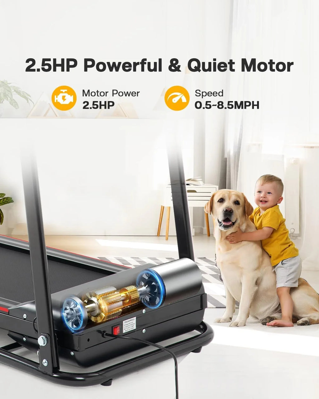 Foldable Treadmill with Incline and Bluetooth Q557815