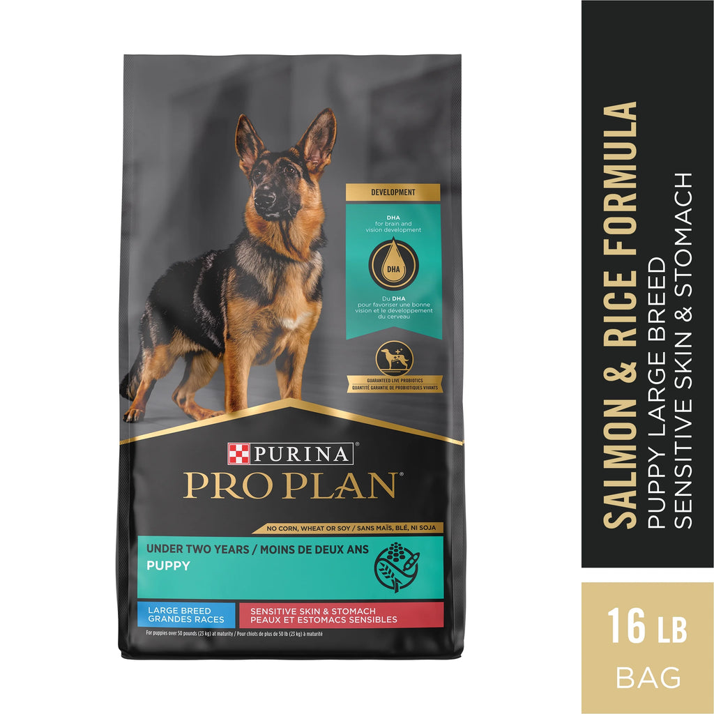 Large Breed Dry Dog Food, Salmon & Rice, 16 lb Bag E583