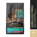 Large Breed Dry Dog Food, Salmon & Rice, 16 lb Bag E583