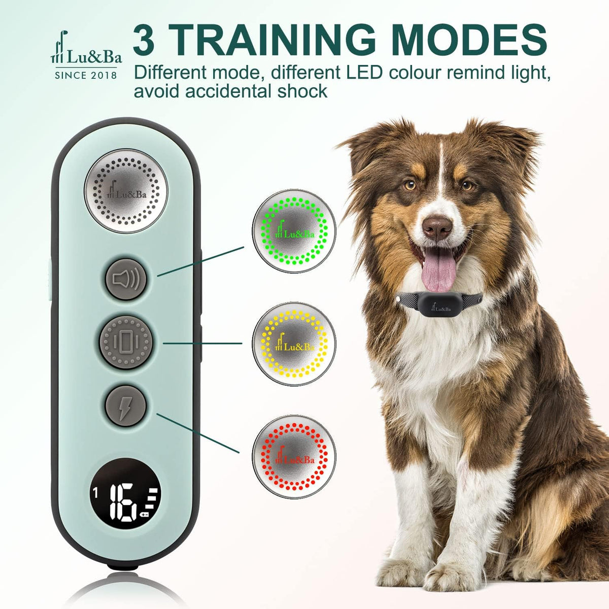 Rechargeable Waterproof Dog Training Collar Pack of 2 S254090