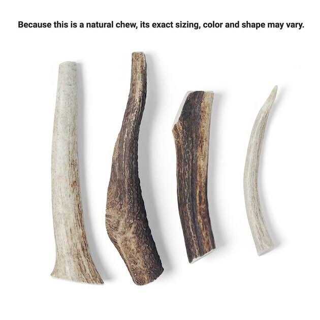 Elk Antler Dog Chew D851707