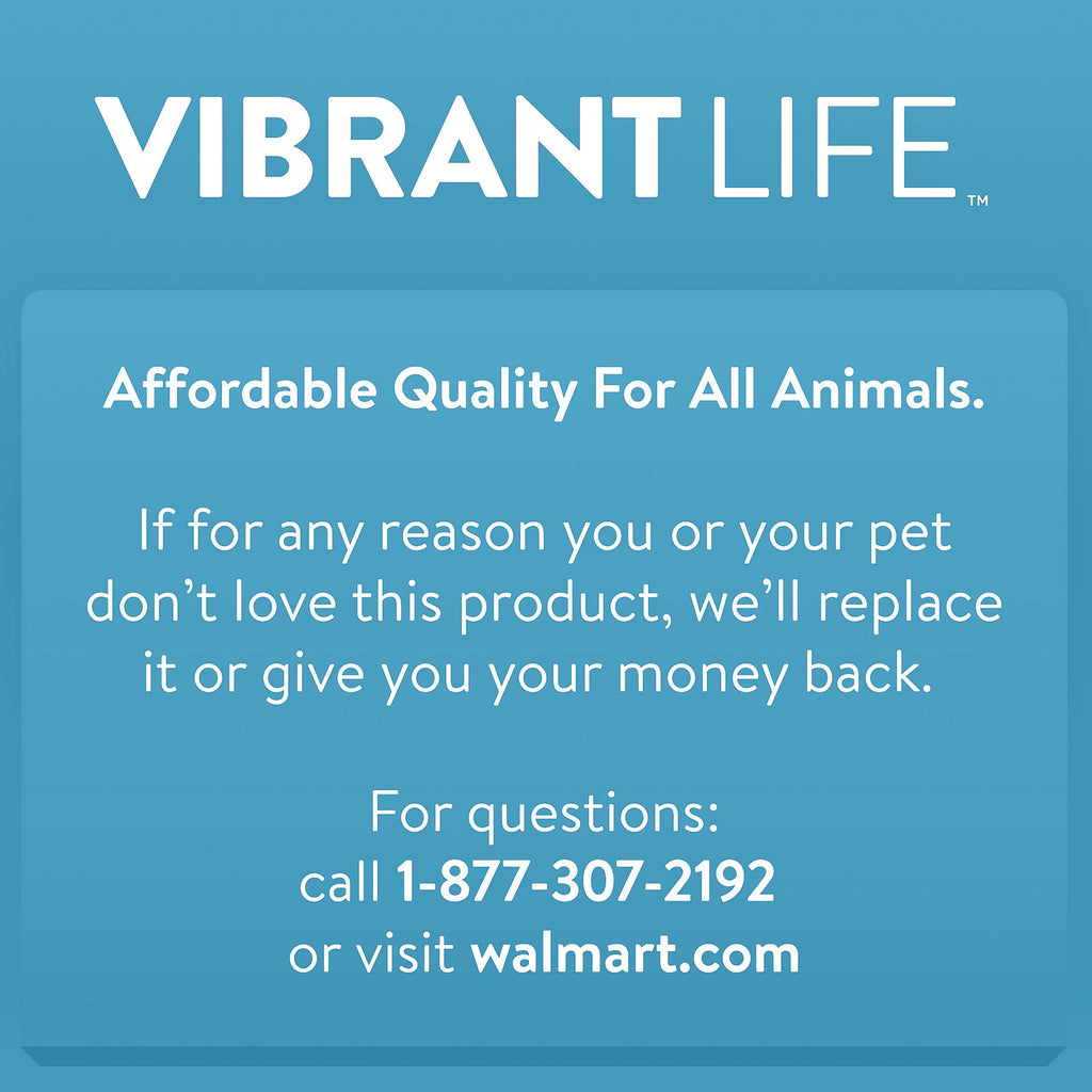 Blue 24 2-Door Plastic Pet Carrier A222