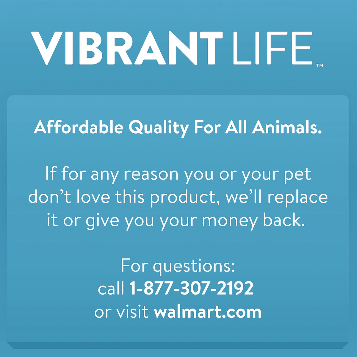 Blue 24 2-Door Plastic Pet Carrier A222
