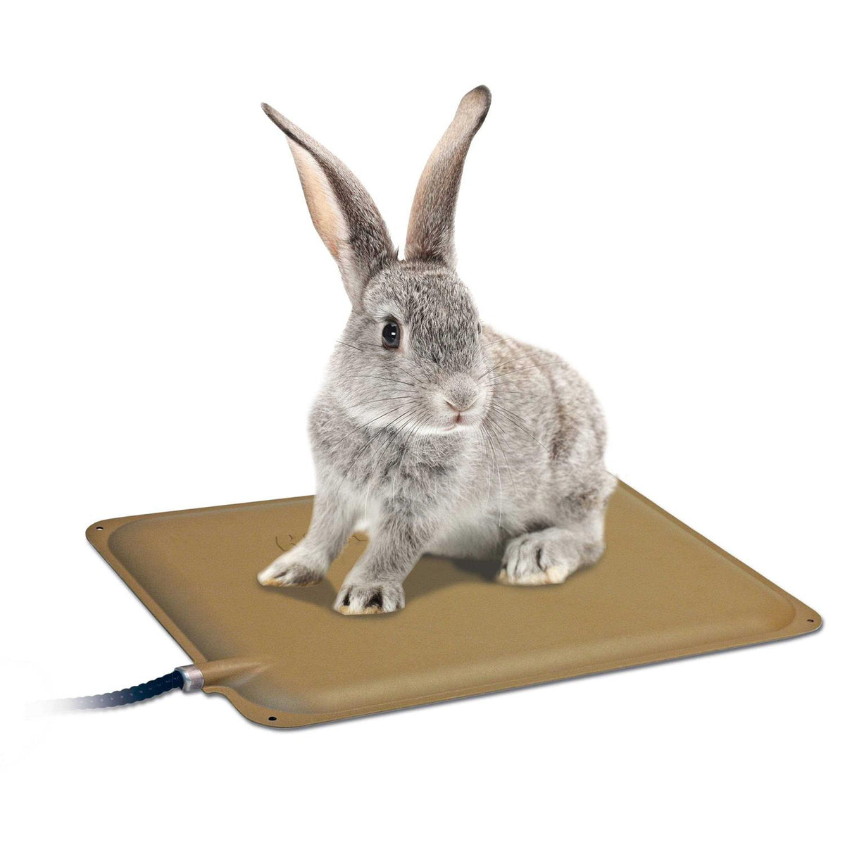 Heated Pad A741