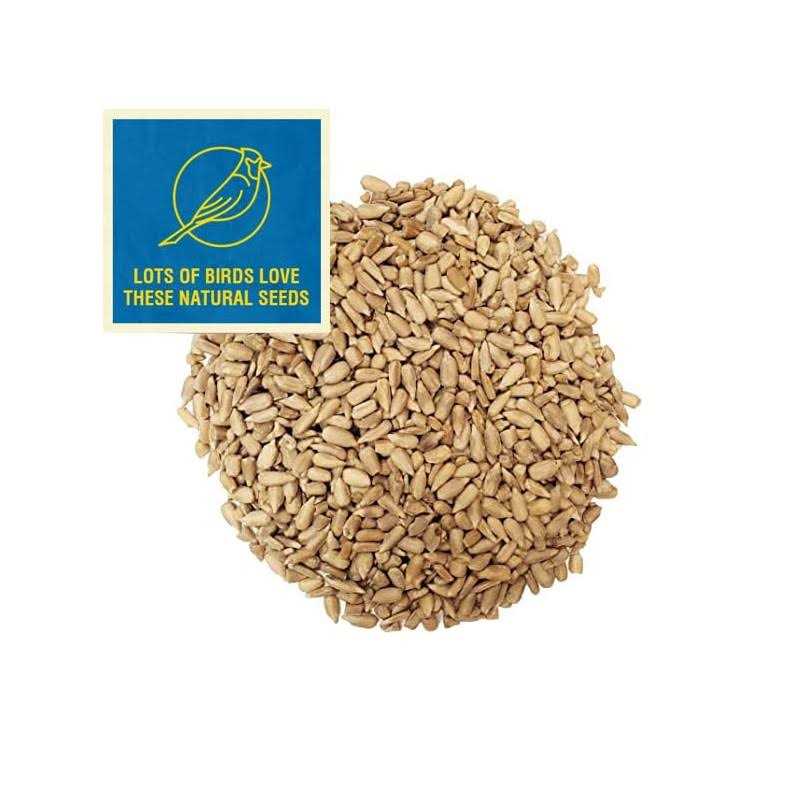 Sunflower Bird Seed R563702