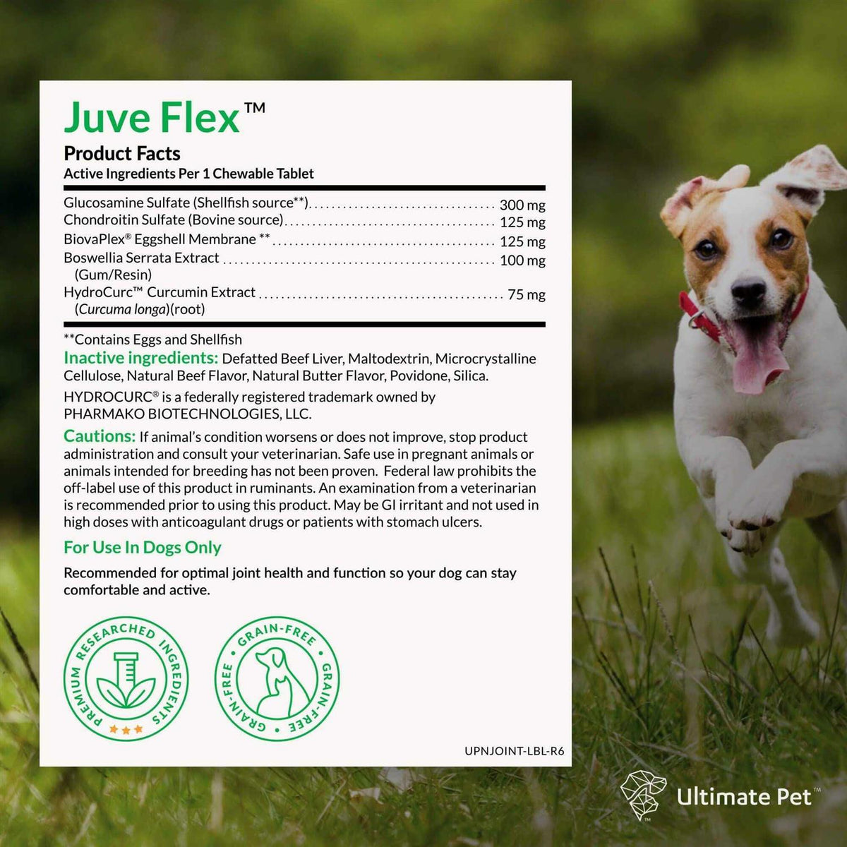 Hip & Joint Support Supplement for Dogs N235