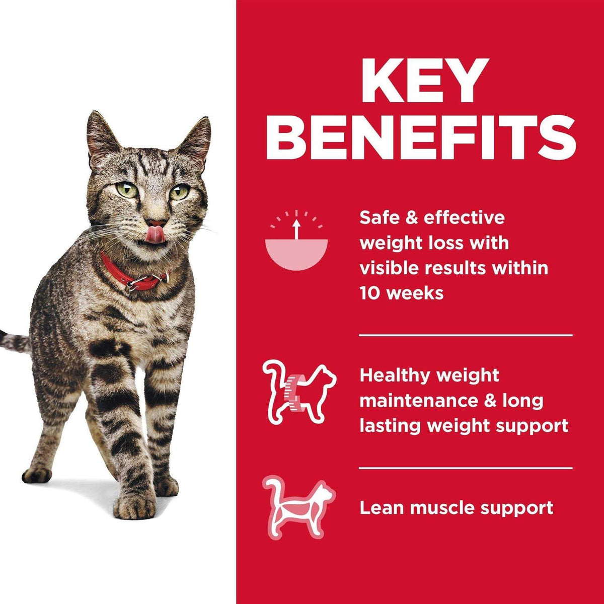 Adult Perfect Weight Cat Food C8849