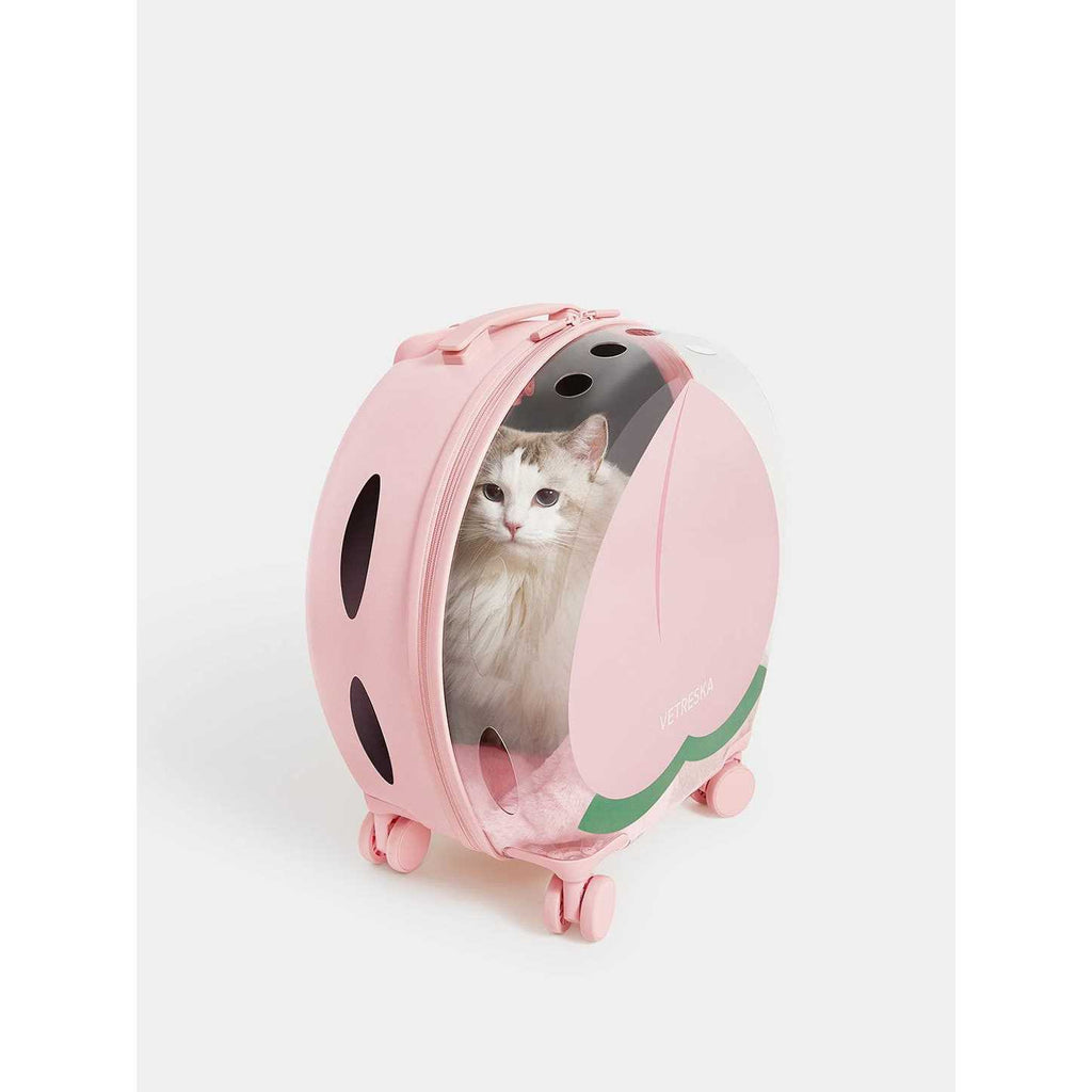 Dog & Cat Carrier Z854