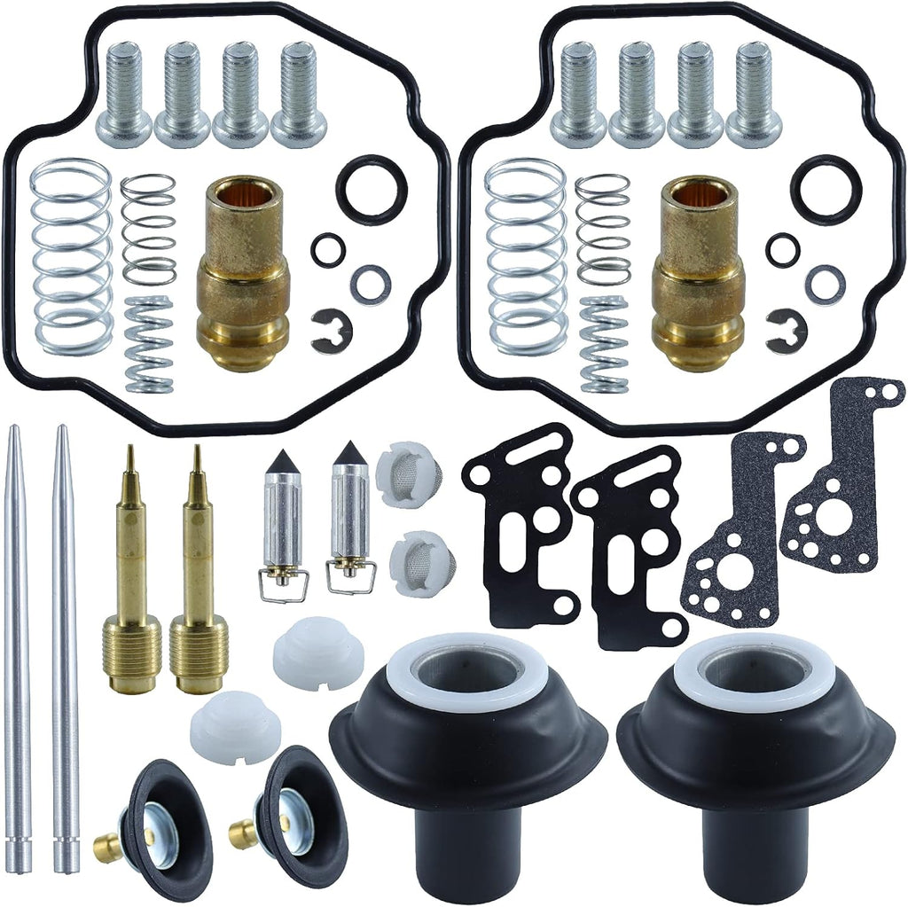 Carburetor Repair Kit Plunger Diaphragm Pack of 2 C882598