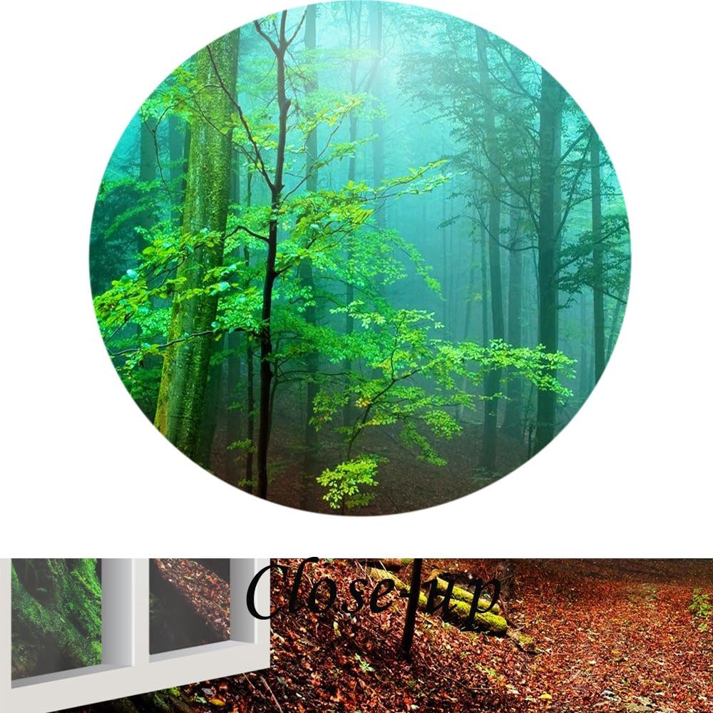 Canvas Print Wall Art Green Forest Landscape Picture Q382