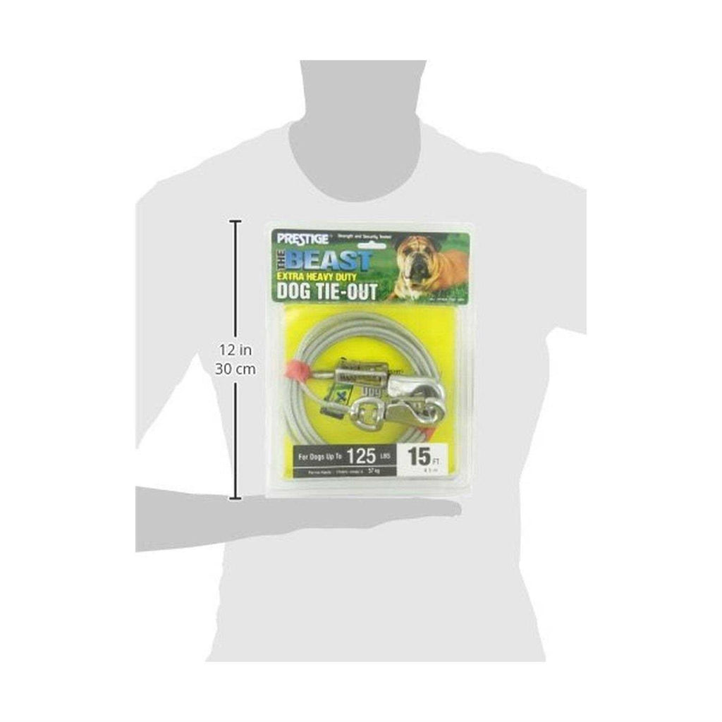 15ft XL Dog Tie-Out with Spring C782423