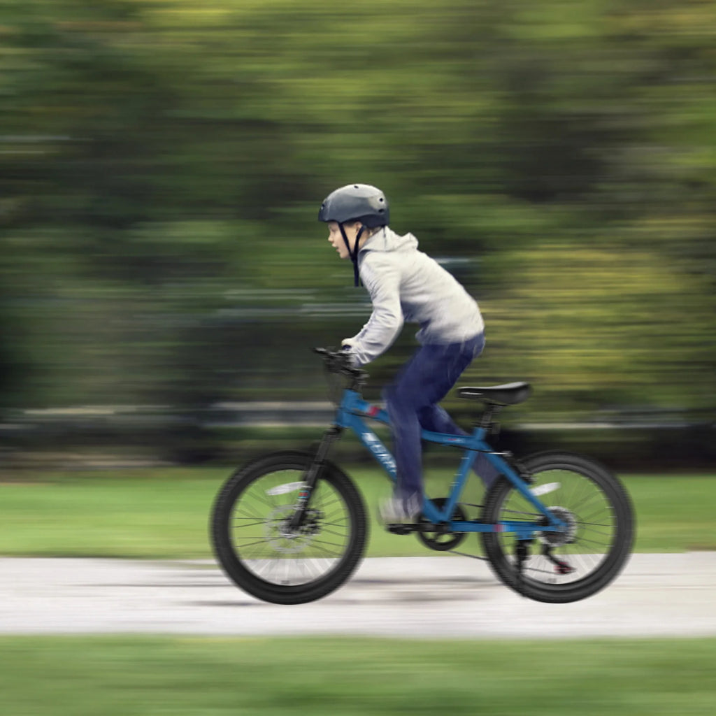 20 Inch Kids Mountain Bike E618